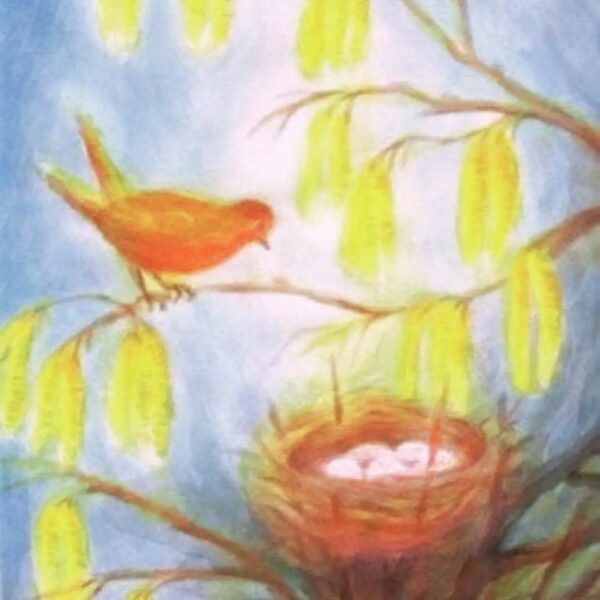 As spring settles in, the children's sensory worlds are alive with buzzing bees, butterflies and…